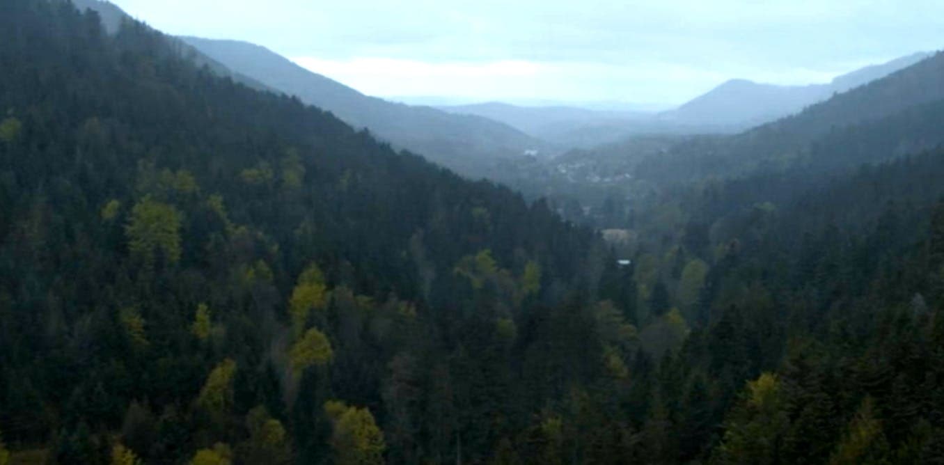 Cinéma africain : l'art de filmer les espaces naturels